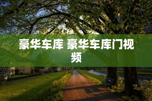 豪华车库 豪华车库门视频