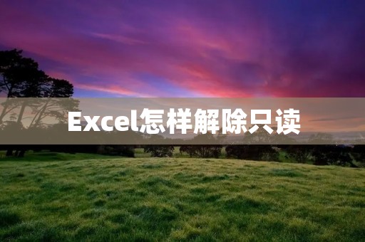 Excel怎样解除只读