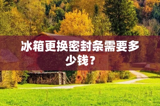 冰箱更换密封条需要多少钱？