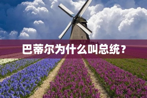 巴蒂尔为什么叫总统？