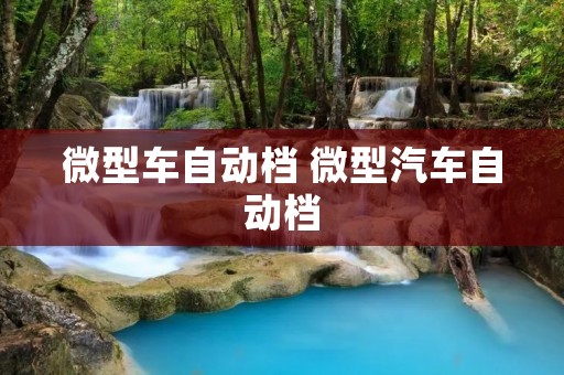 微型车自动档 微型汽车自动档