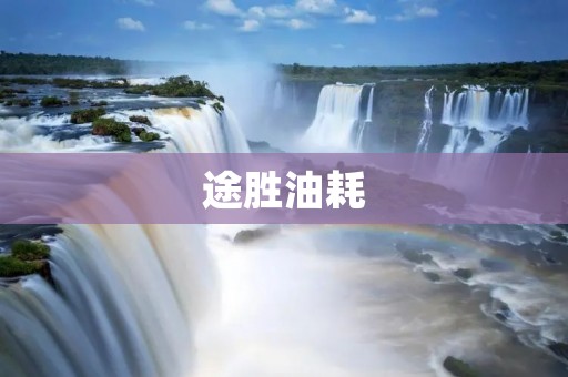 途胜油耗：如何降低汽车油耗？
