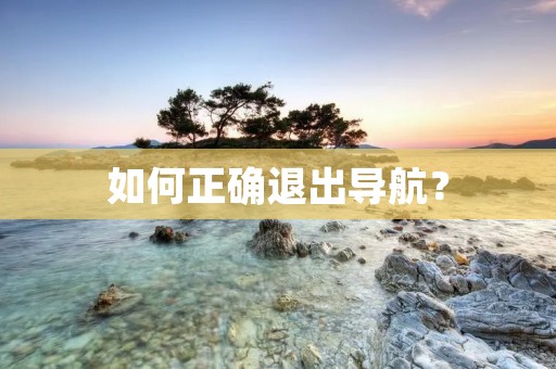 如何正确退出导航? 如何正确退出导航?