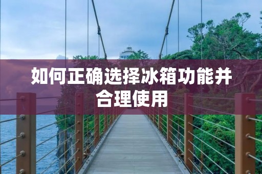 如何正确选择冰箱功能并合理使用