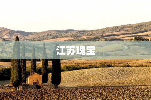 江苏瑰宝：一颗闪耀着创新光芒的明珠