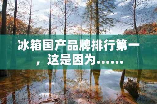 冰箱国产品牌排行第一，这是因为......
