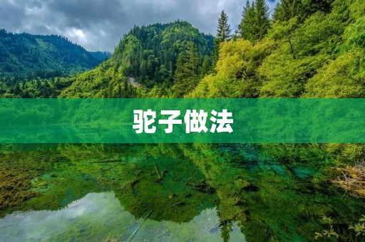 驼子做法:一个口感独特的美食 驼子做法:一个口感独特的美食