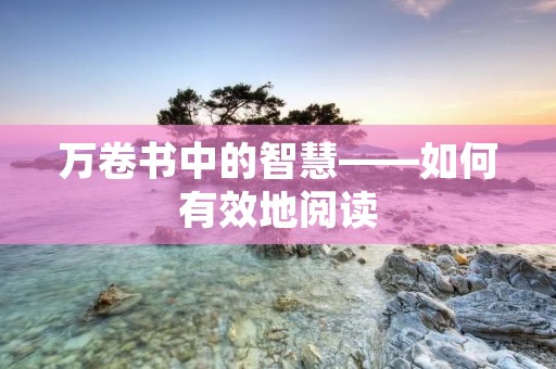 万卷书中的智慧——如何有效地阅读