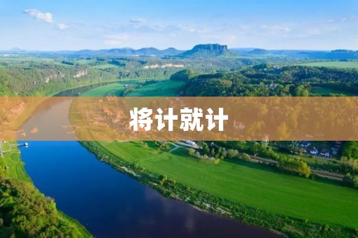 将计就计：用反击之力制服挑战