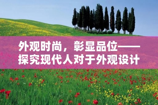 外观时尚,彰显品位——探究现代人对于外观设计的追求 外观时尚,彰显品位——探究现代人对于外观设计的追求
