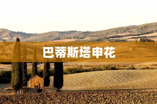 巴蒂斯塔申花：外援引进的背后