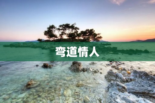 弯道情人：一段充满曲折和挑战的爱情故事