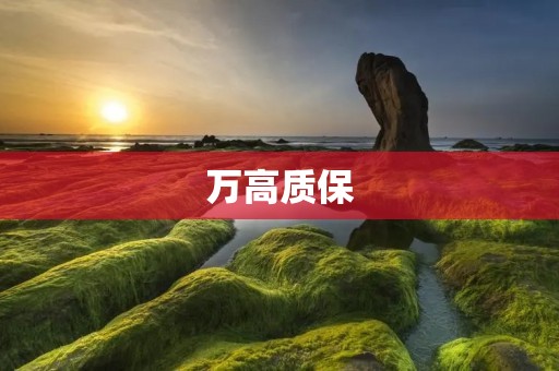 万高质保:保障品质,保障未来 万高质保:保障品质,保障未来