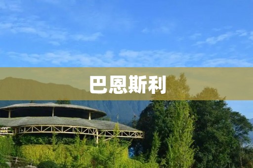 巴恩斯利：一个充满历史与文化底蕴的英国小城