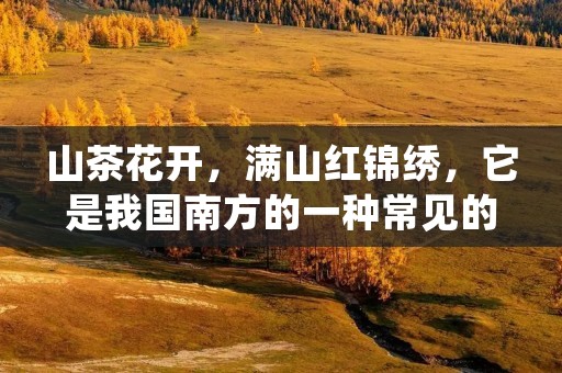 山茶花开,满山红锦绣,它是我国南方的一种常见的花卉,因其花色艳丽,花期长,花型美丽,成为了许多人喜爱的观赏花卉。除了观赏之外,山茶花还有很多用途,比如可以用来制作茶叶、精油、花茶等,其中以山茶花茶最为著名。本文将详细介绍山茶花的制作方法。 山茶花开,满山红锦绣,它是我国南方的一种常见的花卉,因其花色艳丽,花期长,花型美丽,成为了许多人喜爱的观赏花卉。除了观赏之外,山茶花还有很多用途,比如可以用来制作茶叶、精油、花茶等,其中以山茶花茶最为著名。本文将详细介绍山茶花的制作方法。