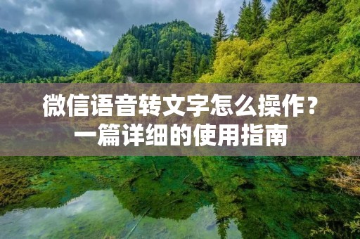 微信语音转文字怎么操作？一篇详细的使用指南