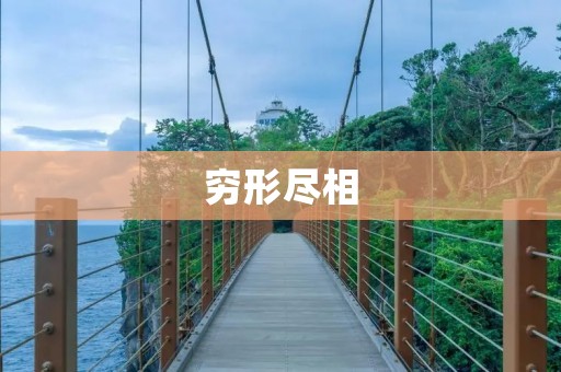穷形尽相:揭示贫困的丑陋面