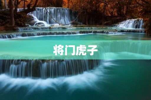 将门虎子：传说中的将门第一豪杰