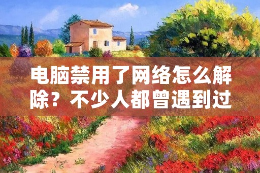 电脑禁用了网络怎么解除？不少人都曾遇到过这样的问题，无法上网会影响我们的日常工作和生活，该如何解决呢？