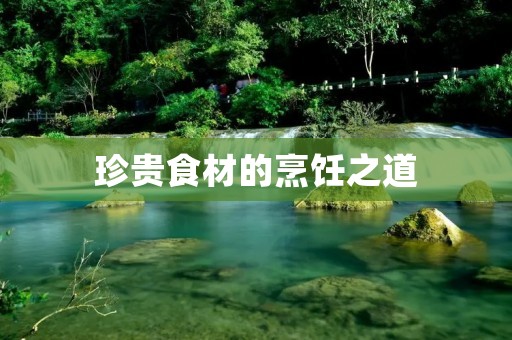 珍贵食材的烹饪之道 珍贵食材的烹饪之道