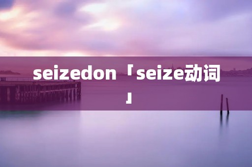 seizedon「seize动词」 seizedon「seize动词」