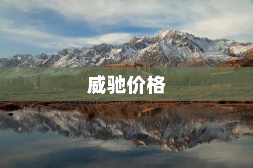 威驰价格:预算友好的实用车型 威驰价格:预算友好的实用车型
