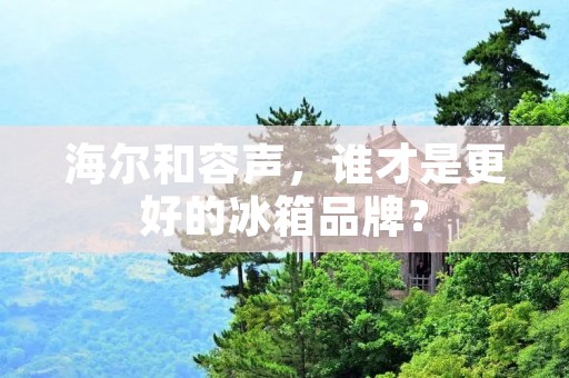 海尔和容声,谁才是更好的冰箱品牌? 海尔和容声,谁才是更好的冰箱品牌?
