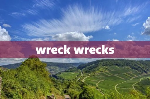 wreck wrecks