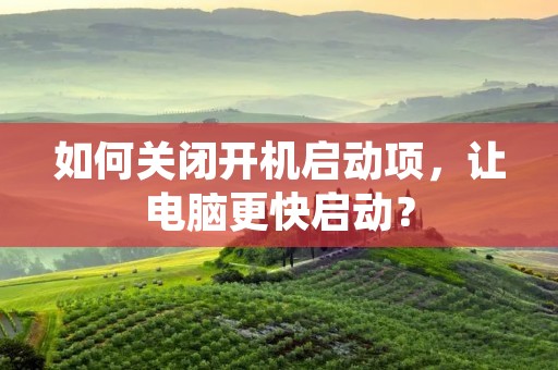 如何关闭开机启动项,让电脑更快启动?
