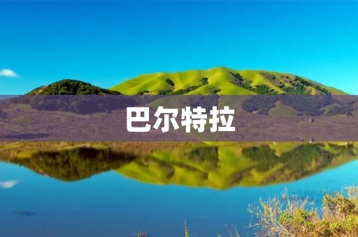 巴尔特拉:西班牙足球的新星 巴尔特拉:西班牙足球的新星