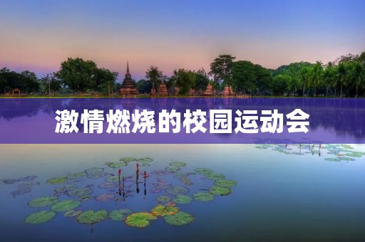 激情燃烧的校园运动会