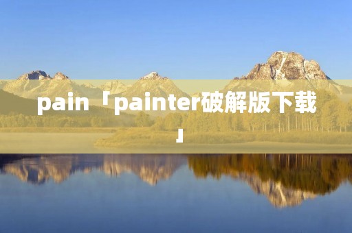 pain「painter破解版下载」