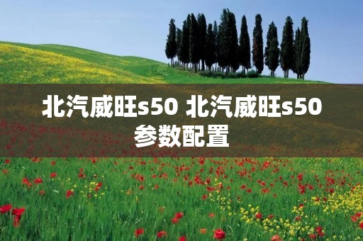 北汽威旺s50 北汽威旺s50参数配置