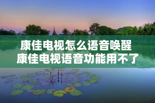 康佳电视怎么语音唤醒 康佳电视语音功能用不了怎么设置