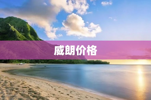 威朗价格：实惠的家用轿车