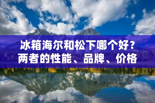 冰箱海尔和松下哪个好？两者的性能、品牌、价格等方面有何区别？本文将从多个角度对比这两个品牌的冰箱，以便消费者更好地选择适合自己的产品。
