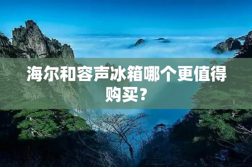 海尔和容声冰箱哪个更值得购买？