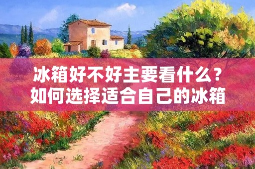 冰箱好不好主要看什么?如何选择适合自己的冰箱? 冰箱好不好主要看什么?如何选择适合自己的冰箱?