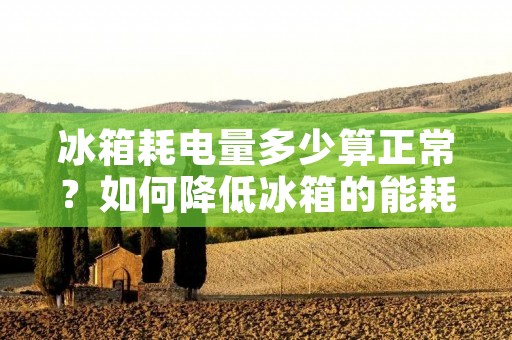 冰箱耗电量多少算正常?如何降低冰箱的能耗? 冰箱耗电量多少算正常?如何降低冰箱的能耗?