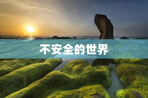不安全的世界