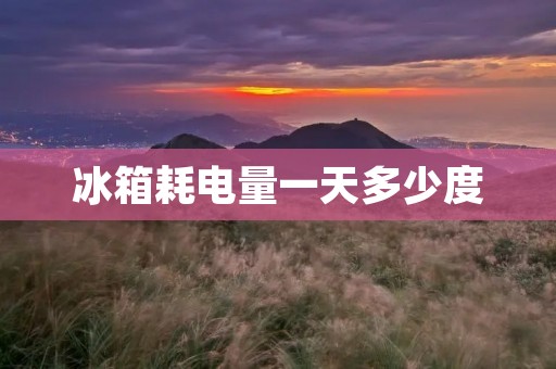 冰箱耗电量一天多少度：如何降低能耗？