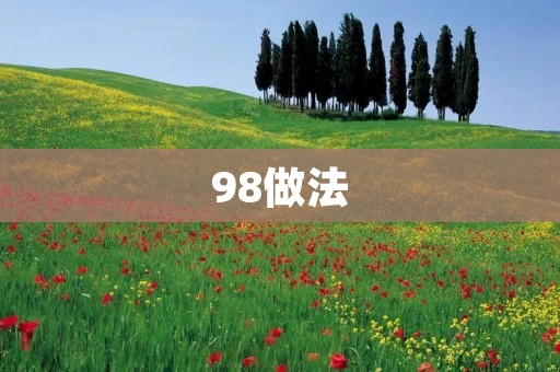 98做法：让你的生活更加高效