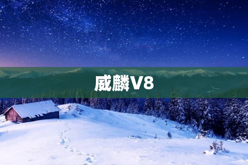 威麟V8:豪华SUV的新标杆 威麟V8:豪华SUV的新标杆