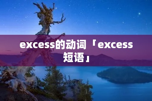 excess的动词「excess短语」
