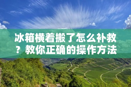 冰箱横着搬了怎么补救？教你正确的操作方法