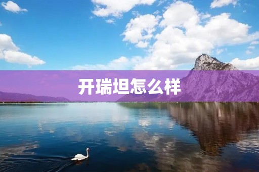 开瑞坦怎么样:细节决定品质 开瑞坦怎么样:细节决定品质