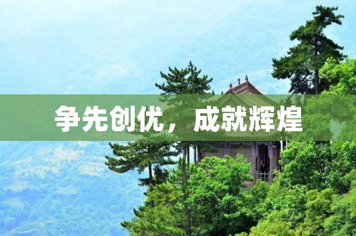 争先创优,成就辉煌