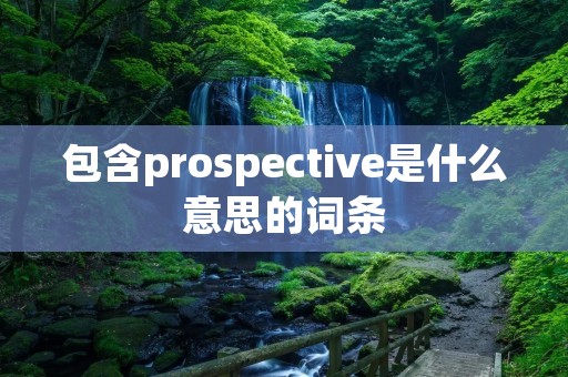 包含prospective是什么意思的词条