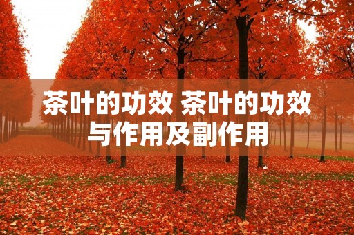 茶叶的功效 茶叶的功效与作用及副作用
