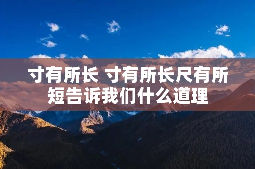 寸有所长 寸有所长尺有所短告诉我们什么道理